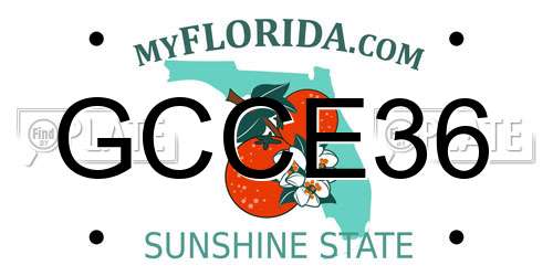 GCCE36 Florida License Plate