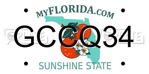 GCCQ34 Florida License Plate