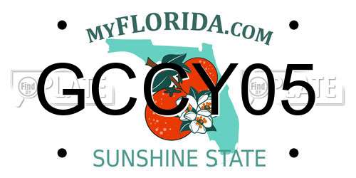GCCY05 Florida License Plate
