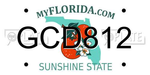 GCD812 Florida License Plate