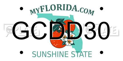 GCDD30 Florida License Plate