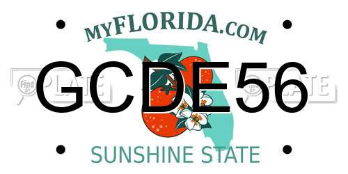 GCDE56 Florida License Plate