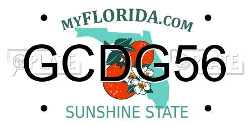 GCDG56 Florida License Plate