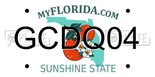 GCDQ04 Florida License Plate