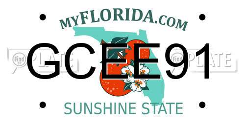 GCEE91 Florida License Plate