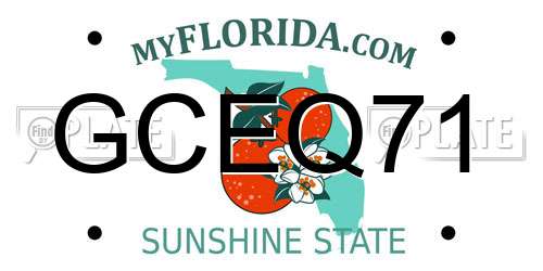 GCEQ71 Florida License Plate