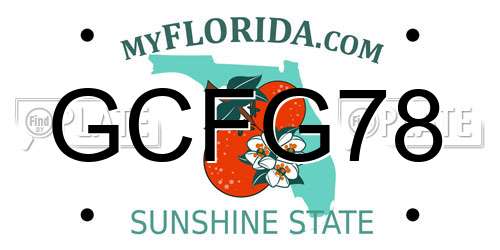 GCFG78 Florida License Plate