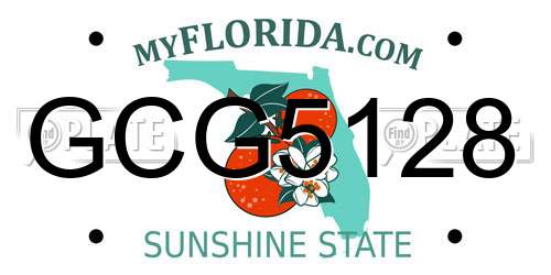GCG5128 Florida License Plate