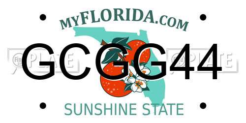 GCGG44 Florida License Plate