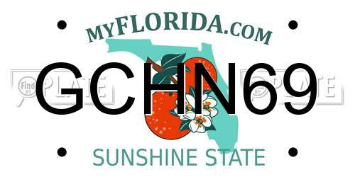 GCHN69 Florida License Plate