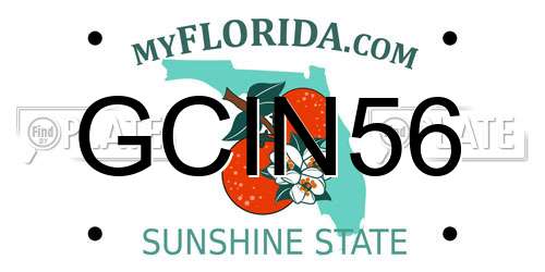 GCIN56 Florida License Plate