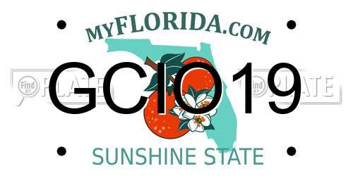 GCIO19 Florida License Plate