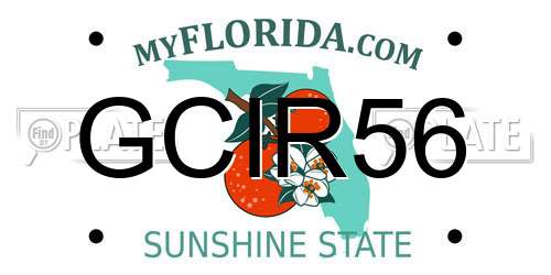 GCIR56 Florida License Plate