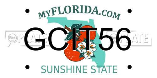 GCIT56 Florida License Plate