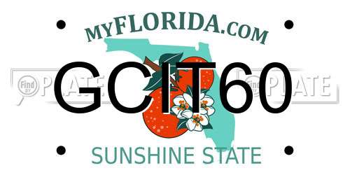 GCIT60 Florida License Plate
