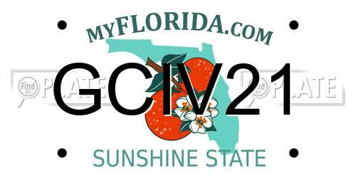 GCIV21 Florida License Plate
