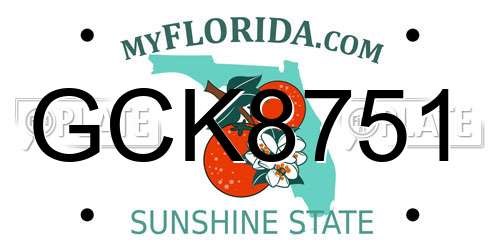 GCK8751 Florida License Plate