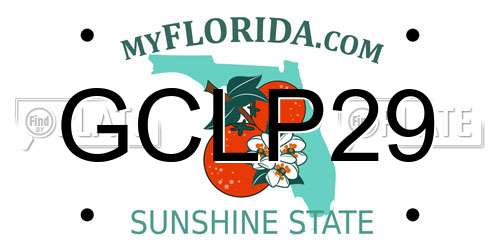 GCLP29 Florida License Plate