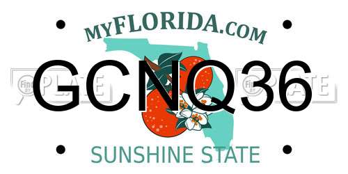 GCNQ36 Florida License Plate