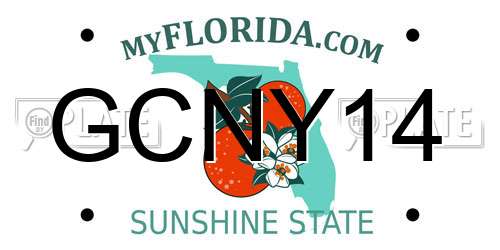 GCNY14 Florida License Plate
