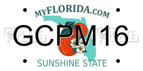GCPM16 Florida License Plate