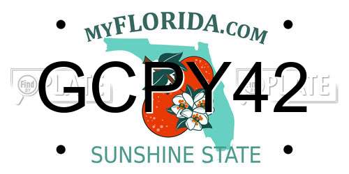 GCPY42 Florida License Plate