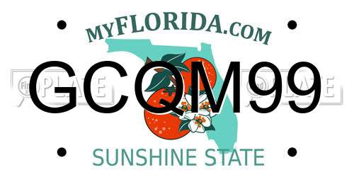 GCQM99 Florida License Plate