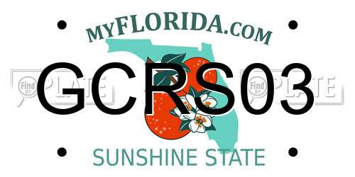 GCRS03 Florida License Plate