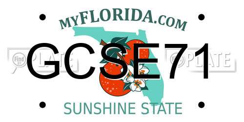 GCSE71 Florida License Plate