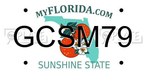 GCSM79 Florida License Plate
