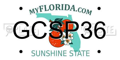 GCSP36 Florida License Plate