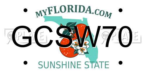 GCSW70 Florida License Plate