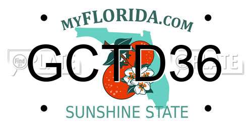 GCTD36 Florida License Plate