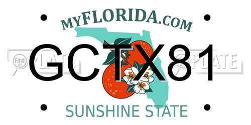 GCTX81 Florida License Plate