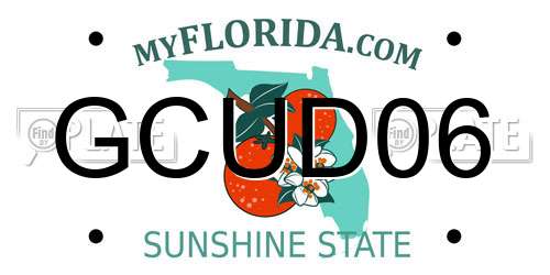 GCUD06 Florida License Plate