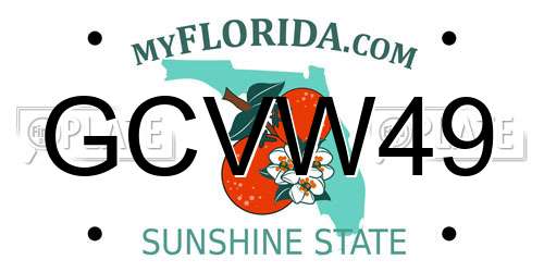 GCVW49 Florida License Plate