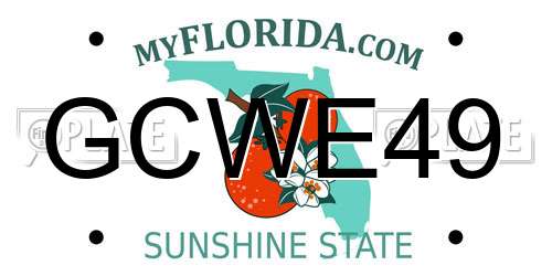 GCWE49 Florida License Plate