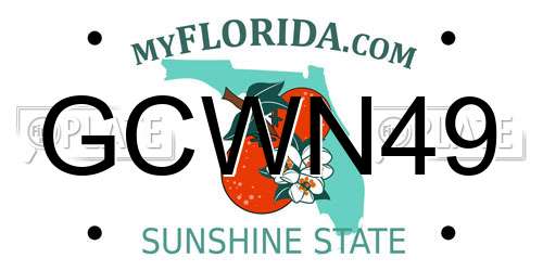 GCWN49 Florida License Plate
