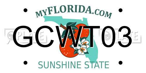 GCWT03 Florida License Plate