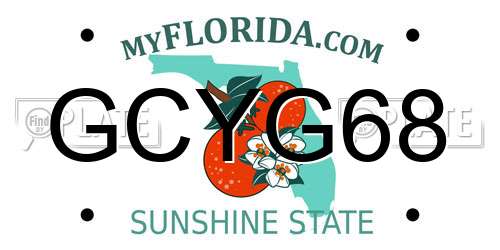 GCYG68 Florida License Plate
