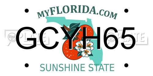 GCYH65 Florida License Plate