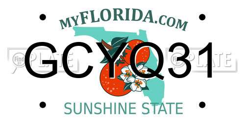 GCYQ31 Florida License Plate