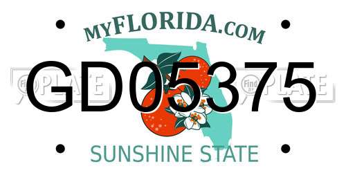 GD05375 Florida License Plate