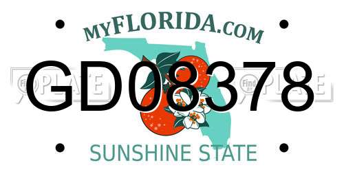 GD08378 Florida License Plate
