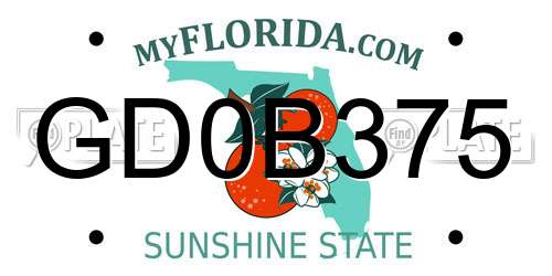GD0B375 Florida License Plate