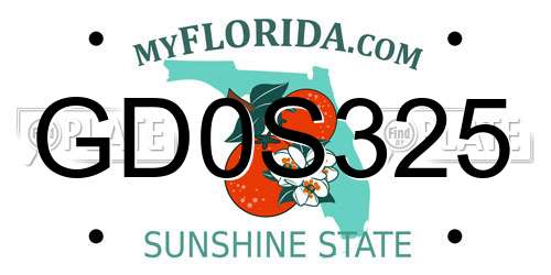 GD0S325 Florida License Plate