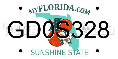 GD0S328 Florida License Plate