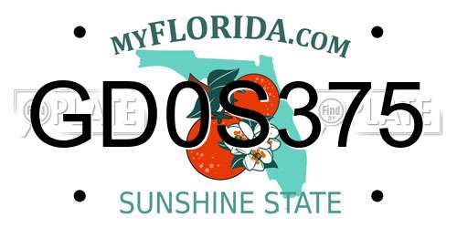 GD0S375 Florida License Plate