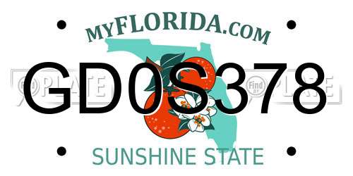 GD0S378 Florida License Plate