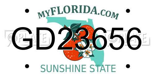 GD23656 Florida License Plate